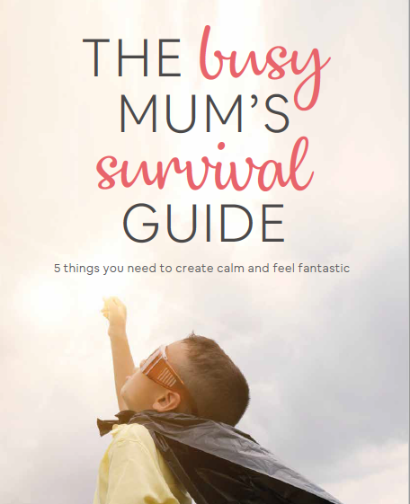 Busy mums survival guide ebook
